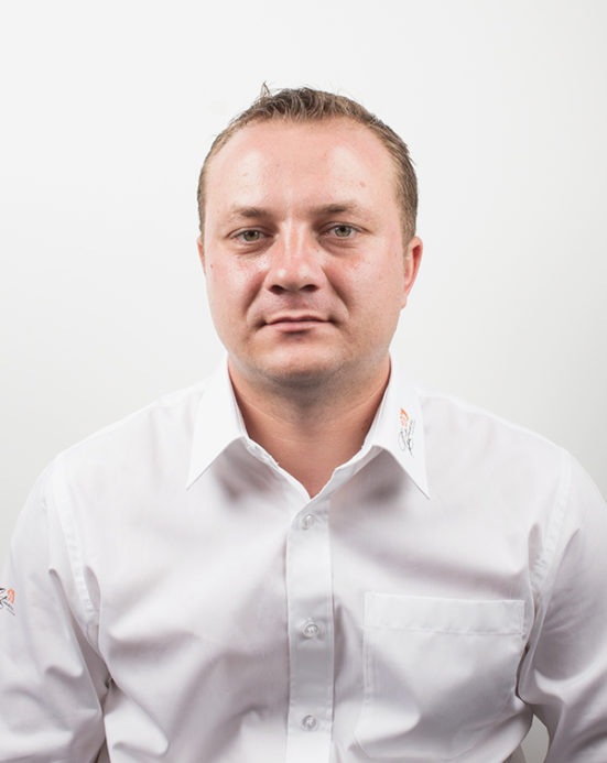 team image